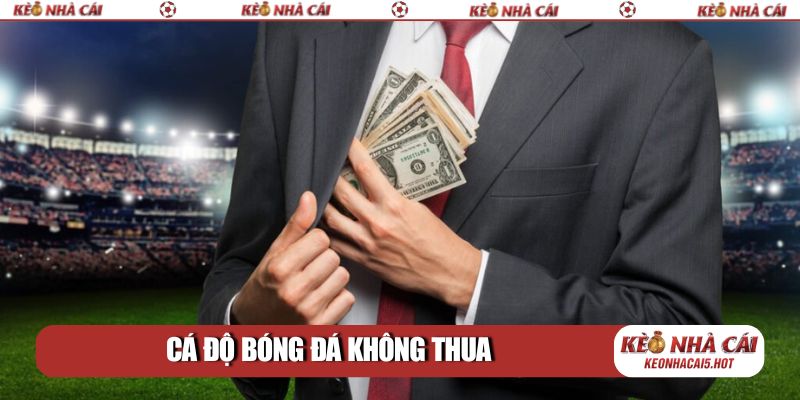 Cá độ bóng đá không thua