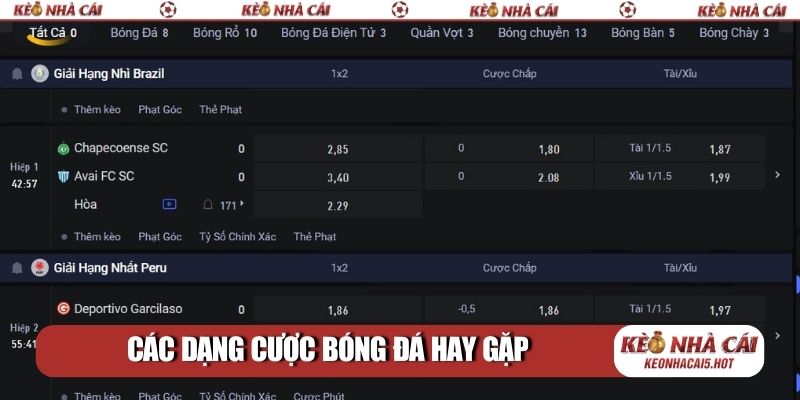 Các dạng cược bóng đá hay gặp