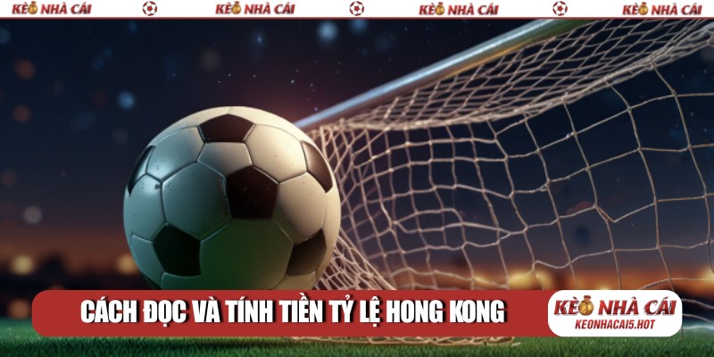 Cách đọc và tính tiền tỷ lệ Hong Kong