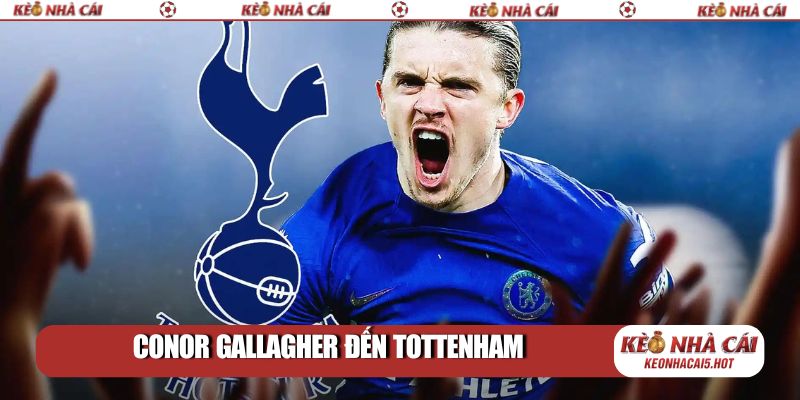 Conor Gallagher đến Tottenham: Cú hích cho tuyến giữa Spurs