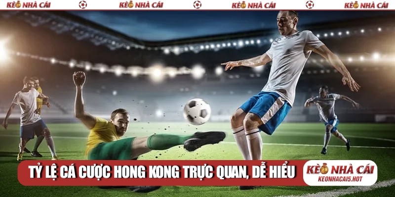 Tỷ lệ cá cược Hong Kong trực quan, dễ hiểu